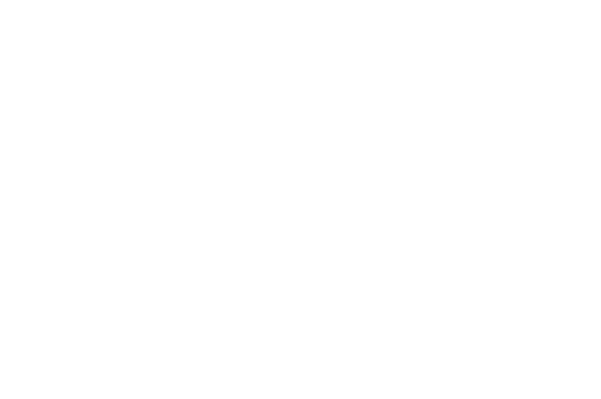 Palo Petroleum Logo