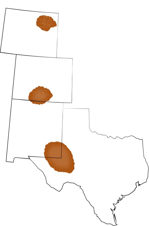 Operations map