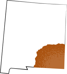 New Mexico